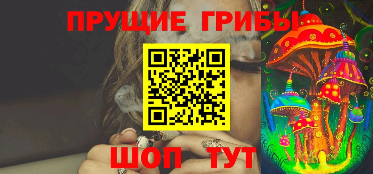 Электрогорск  Галлюциногенные грибы ЛСД  Вход с VPN 